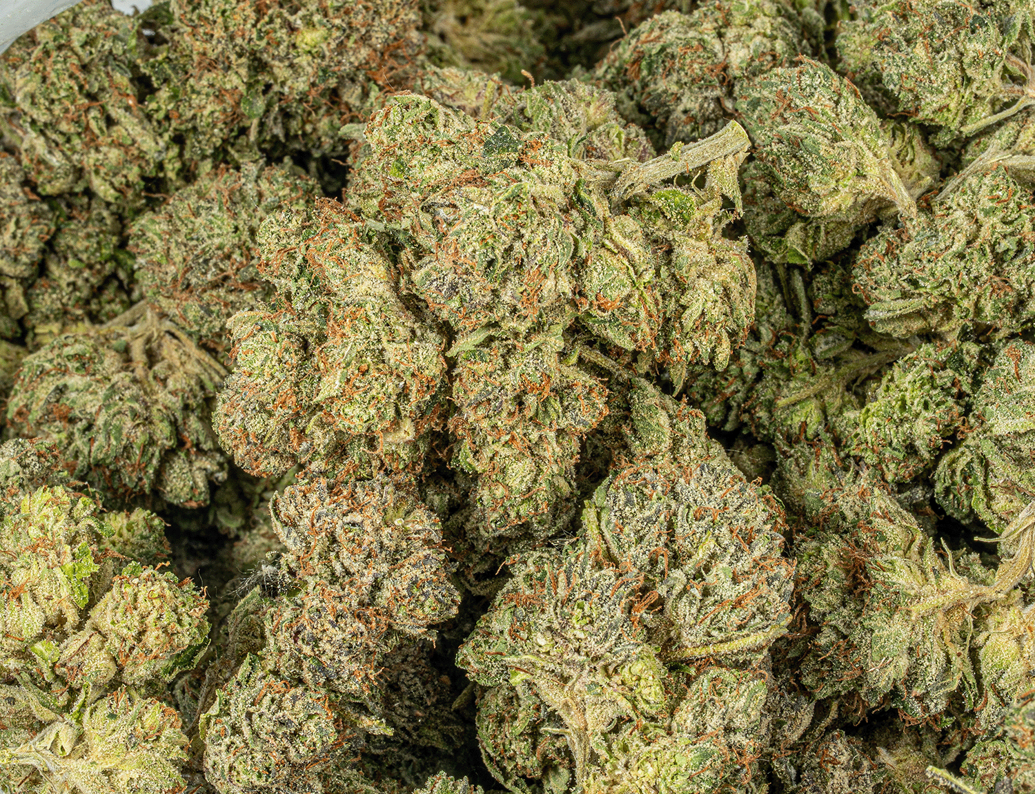 Triangle Octane (AAA+) - Image 4