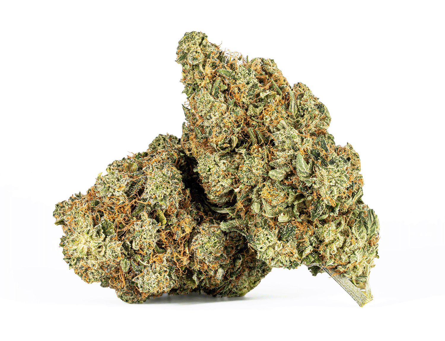 Motor Breath #15 (AAAA)