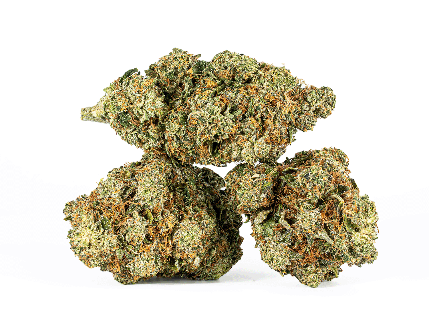 Motor Breath #15 (AAAA) - Image 2