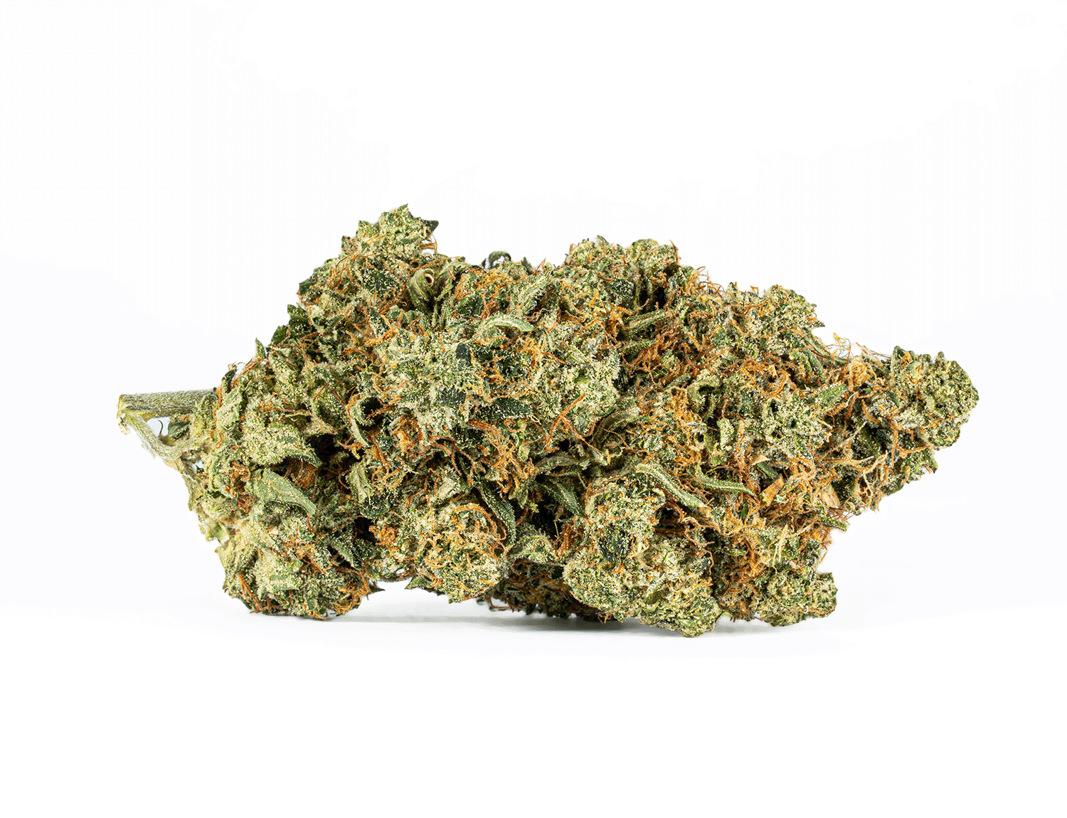 Motor Breath #15 (AAAA) - Image 4