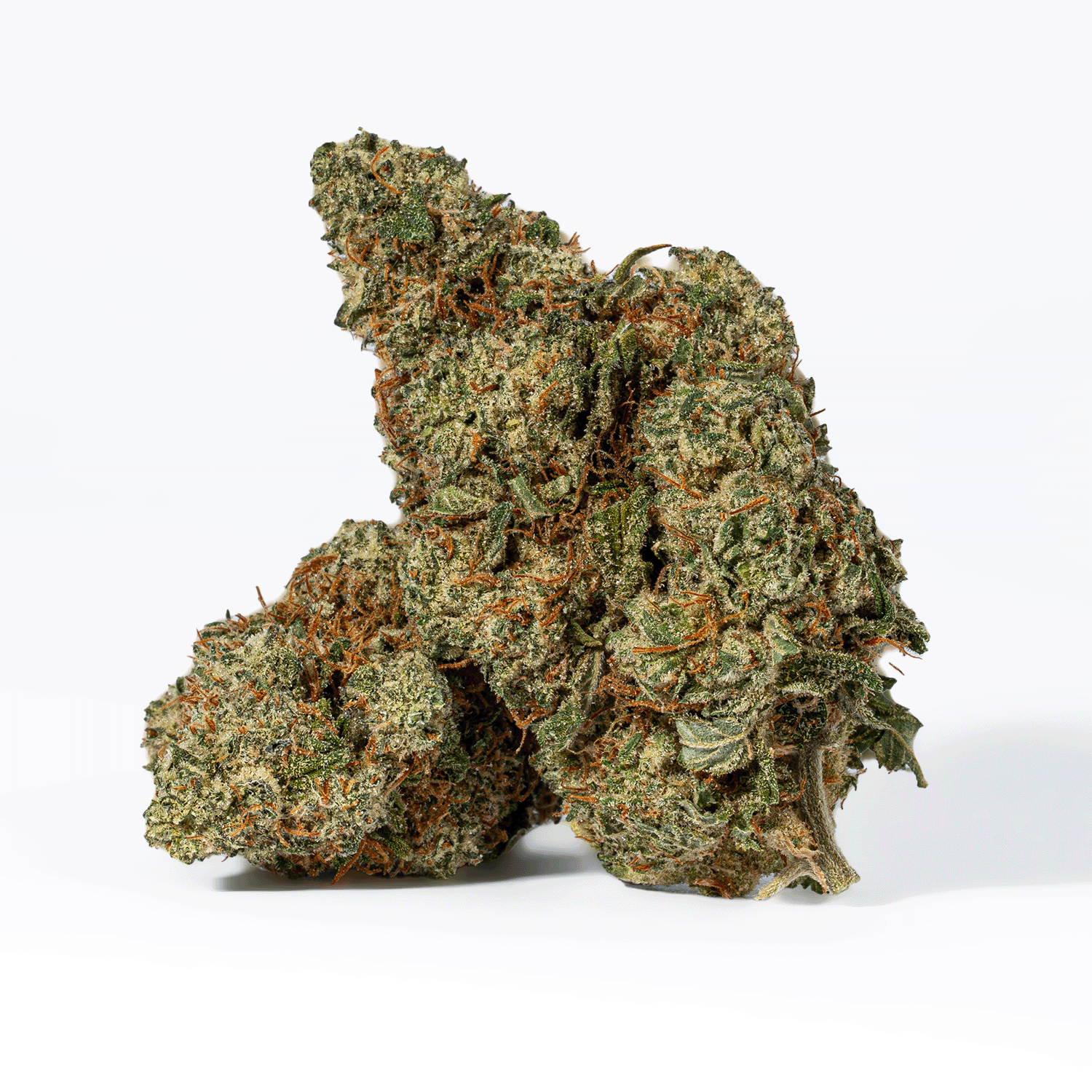 Sundae Float (AAA) - Image 2