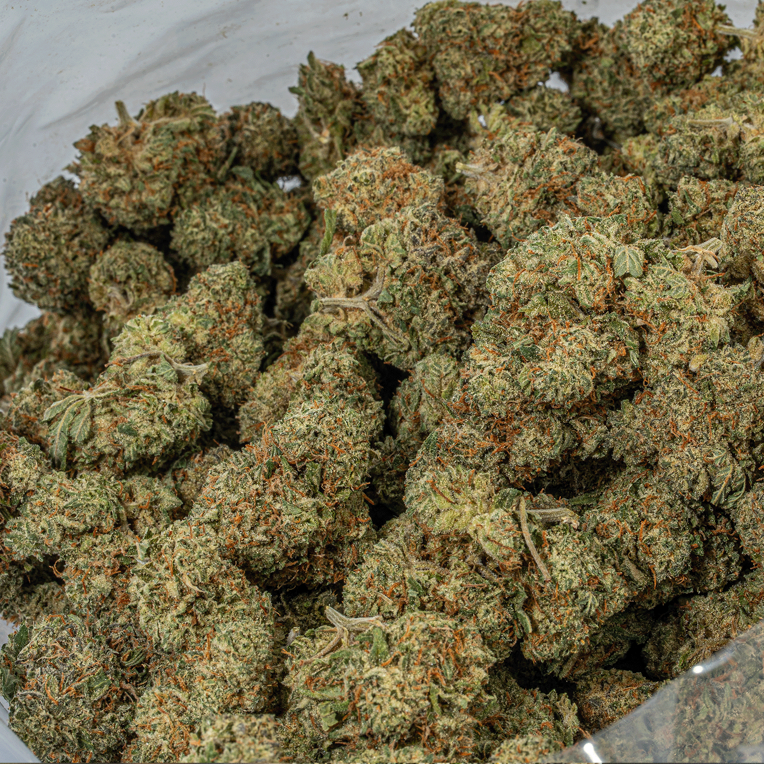 Sundae Float (AAA) - Image 4