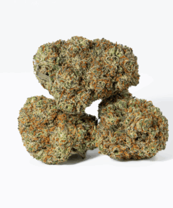 Blackberry Headband (AAA+)