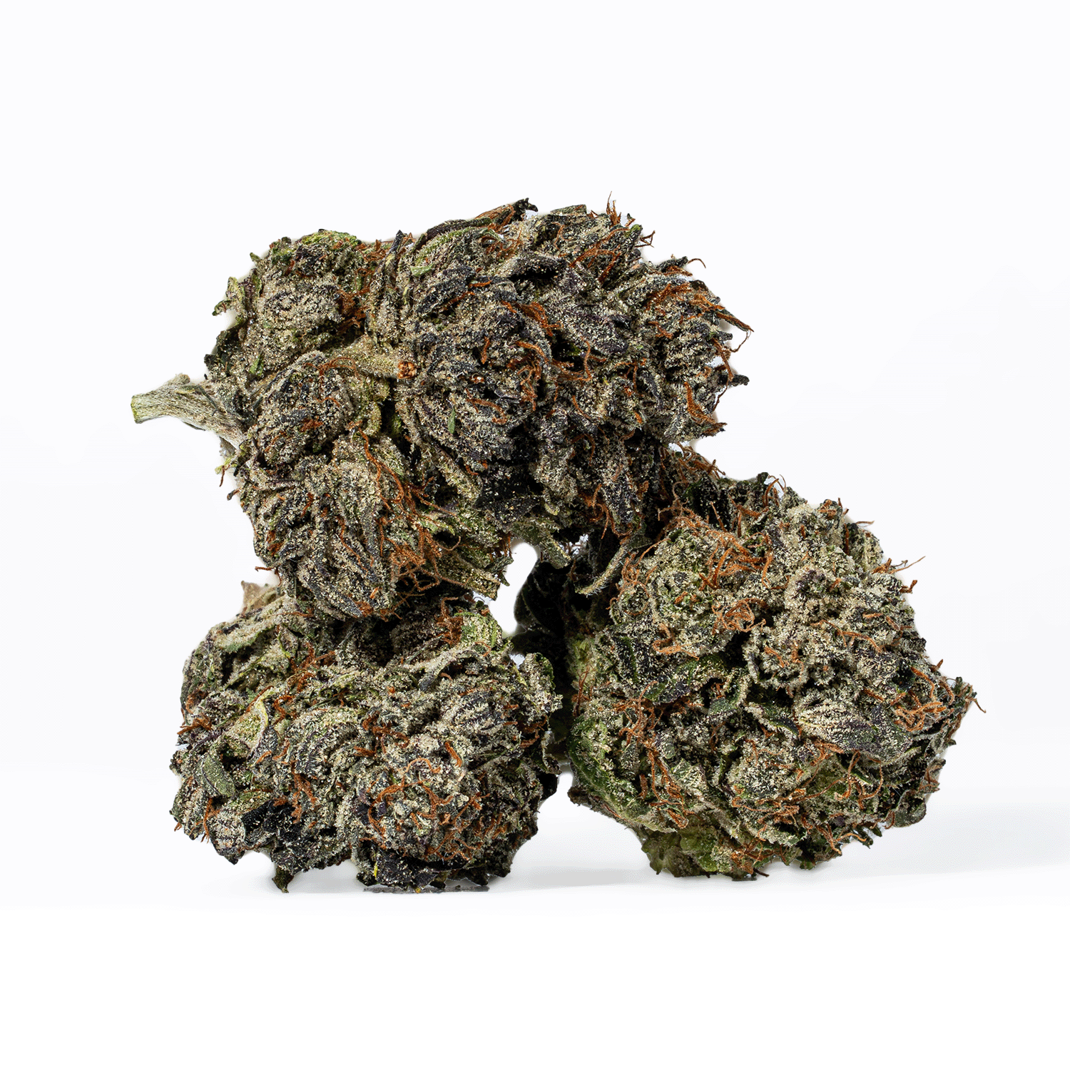 Gas Mask (AAAA) - Image 2