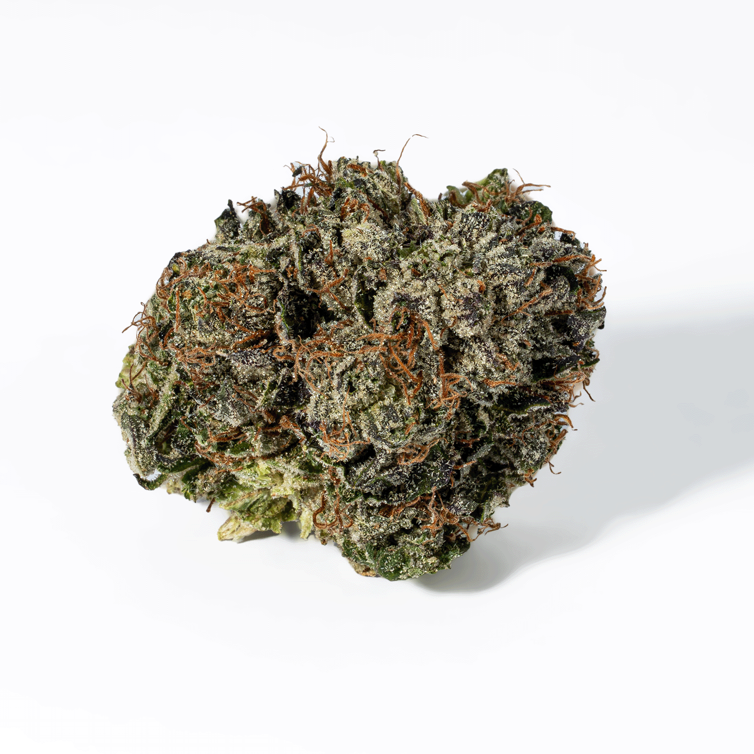 Gas Mask (AAAA) - Image 3