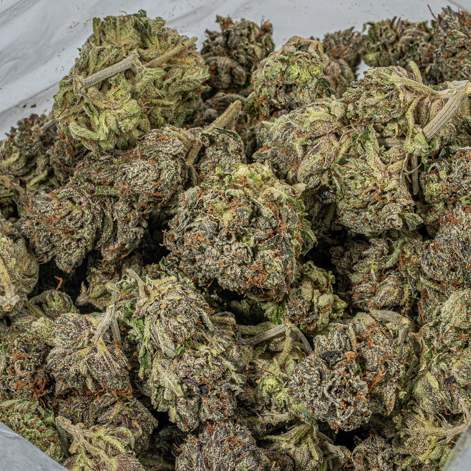 Gas Mask (AAAA) - Image 4