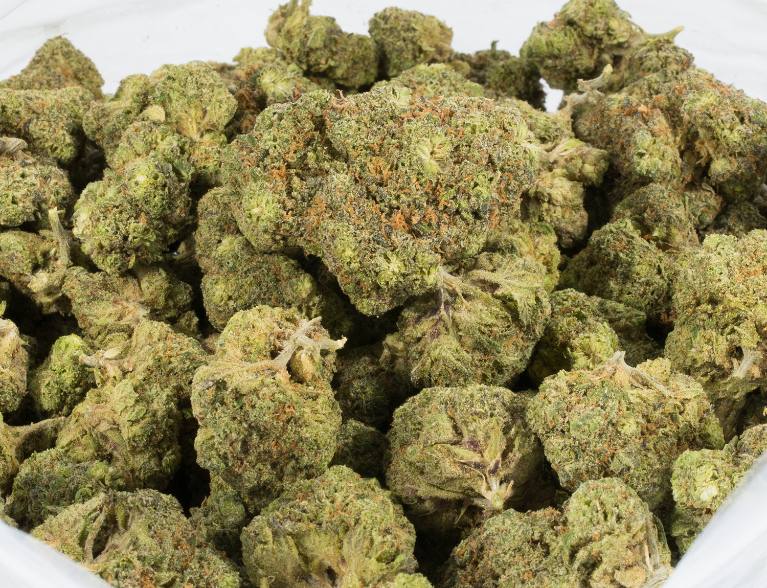 Peach Crescendo (AA+) - Image 4