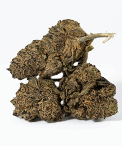 Purple Pinecone (AA+)