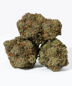 Rockstar Tuna (AAA+)