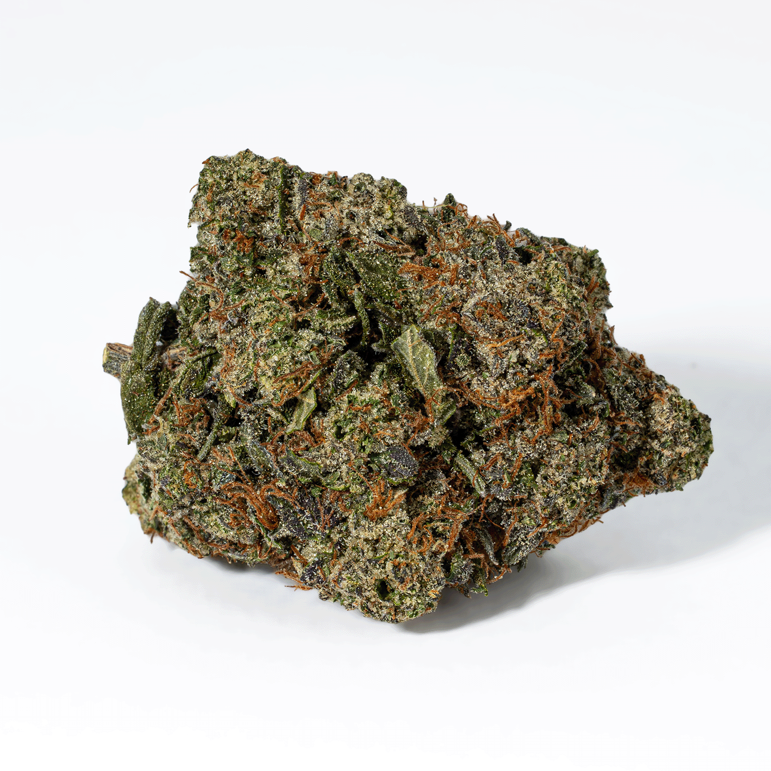 Rockstar Tuna (AAA+) - Image 3