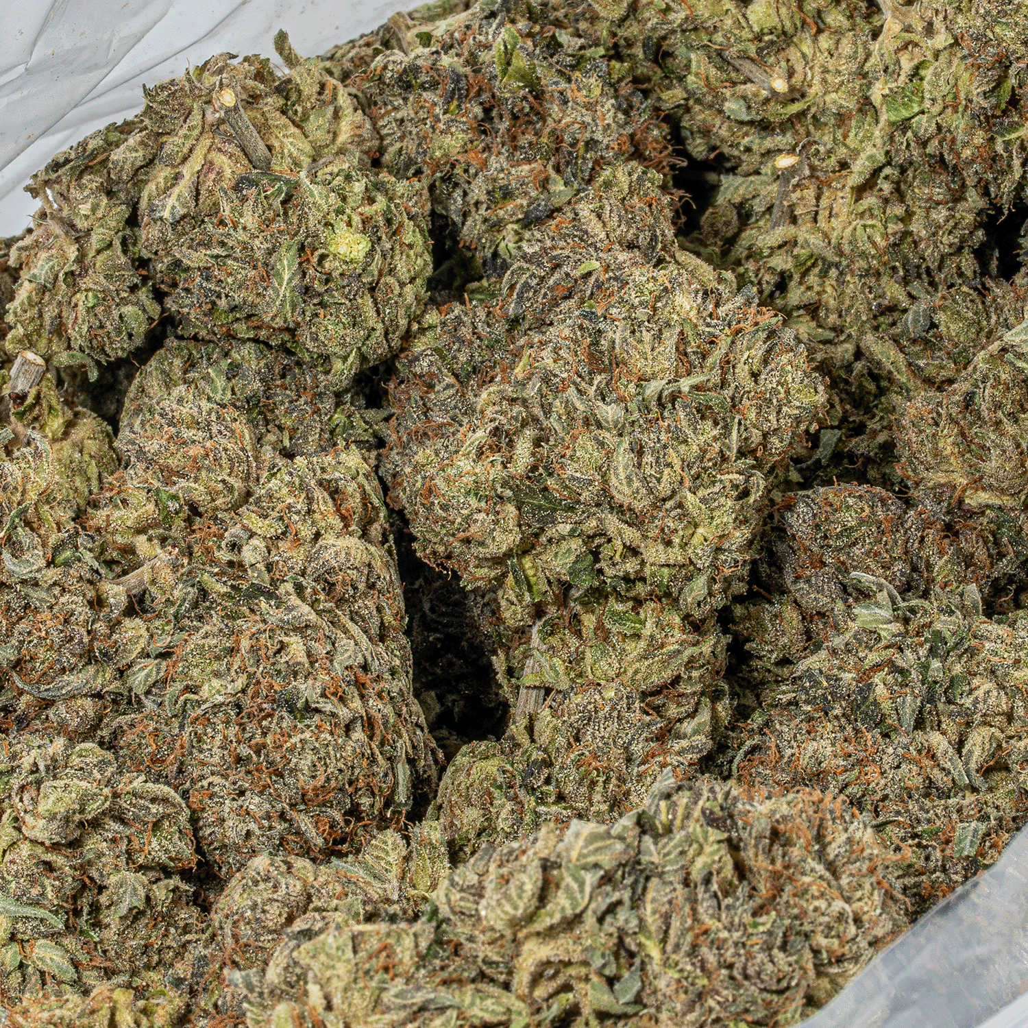 Presidential OG (AAAA) - Image 3