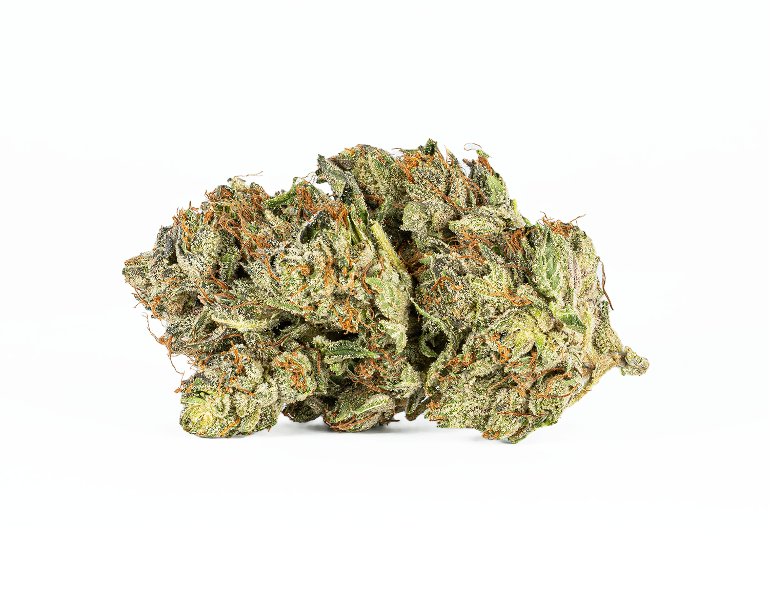 Ghost Ship (AAA+) - Image 2