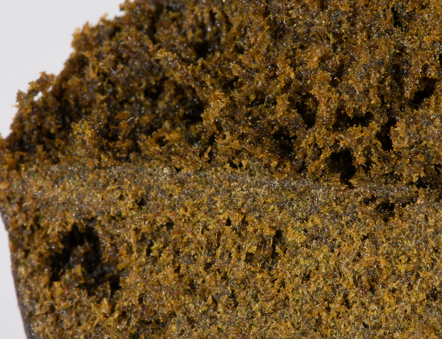 Temple Ball Hash - Image 3