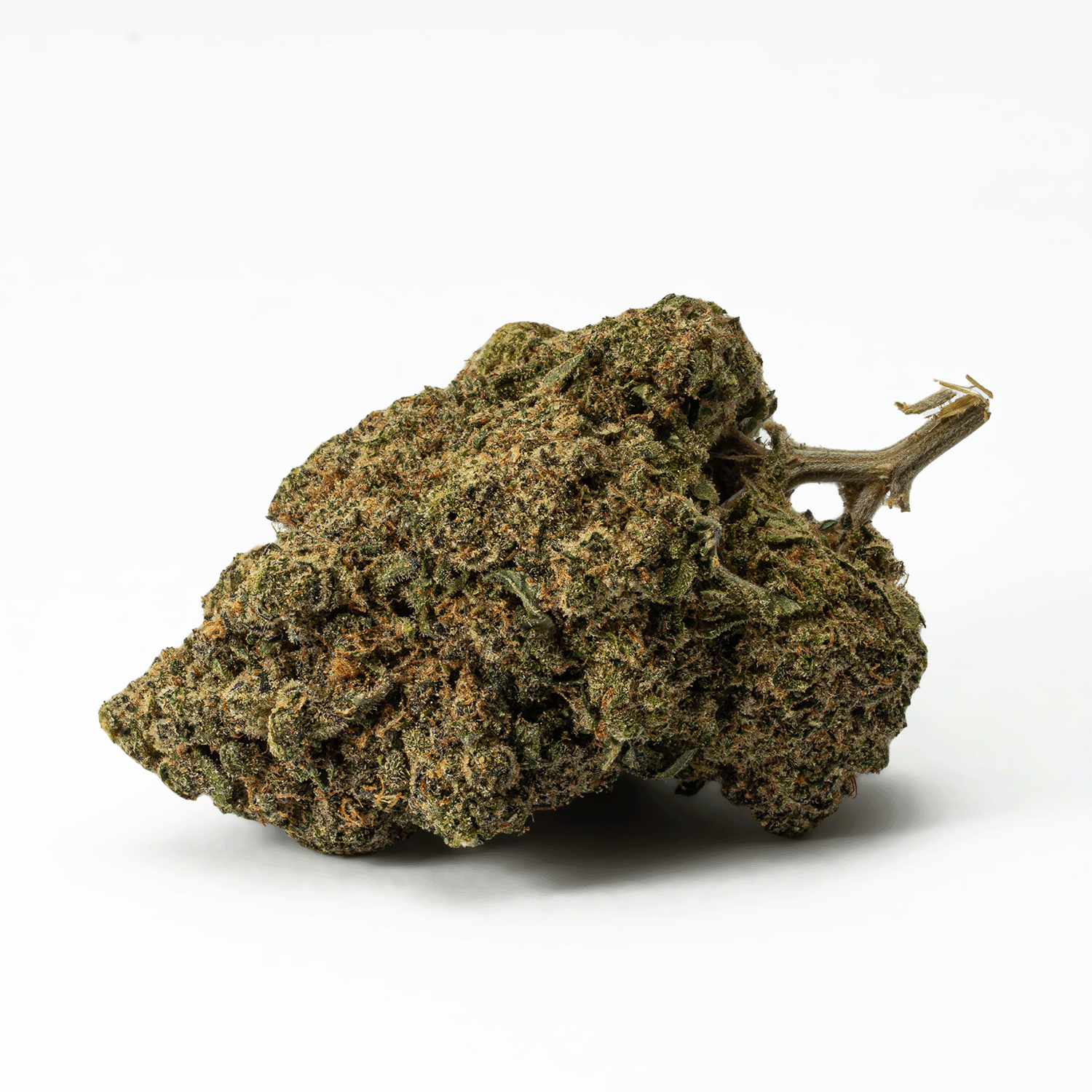 Watermelon Punch (AAA) - Image 3