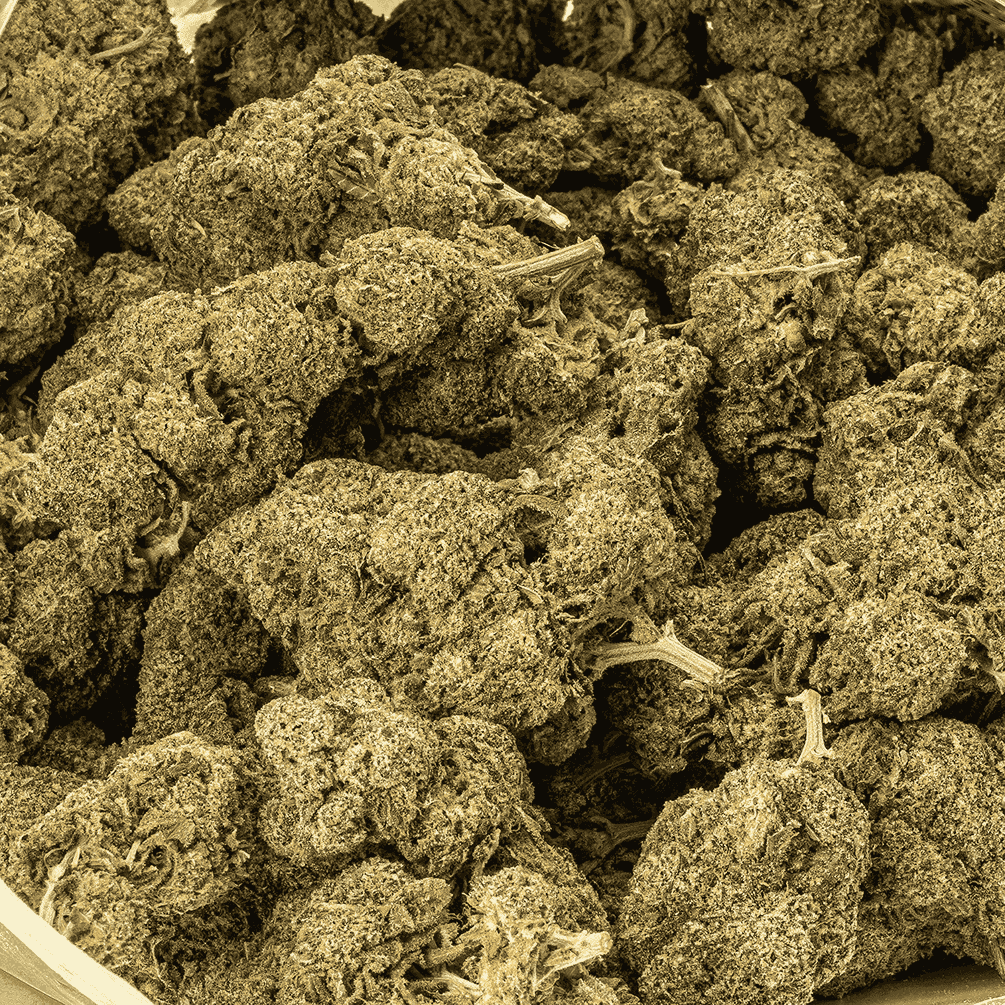 Watermelon Punch (AAA) - Image 4