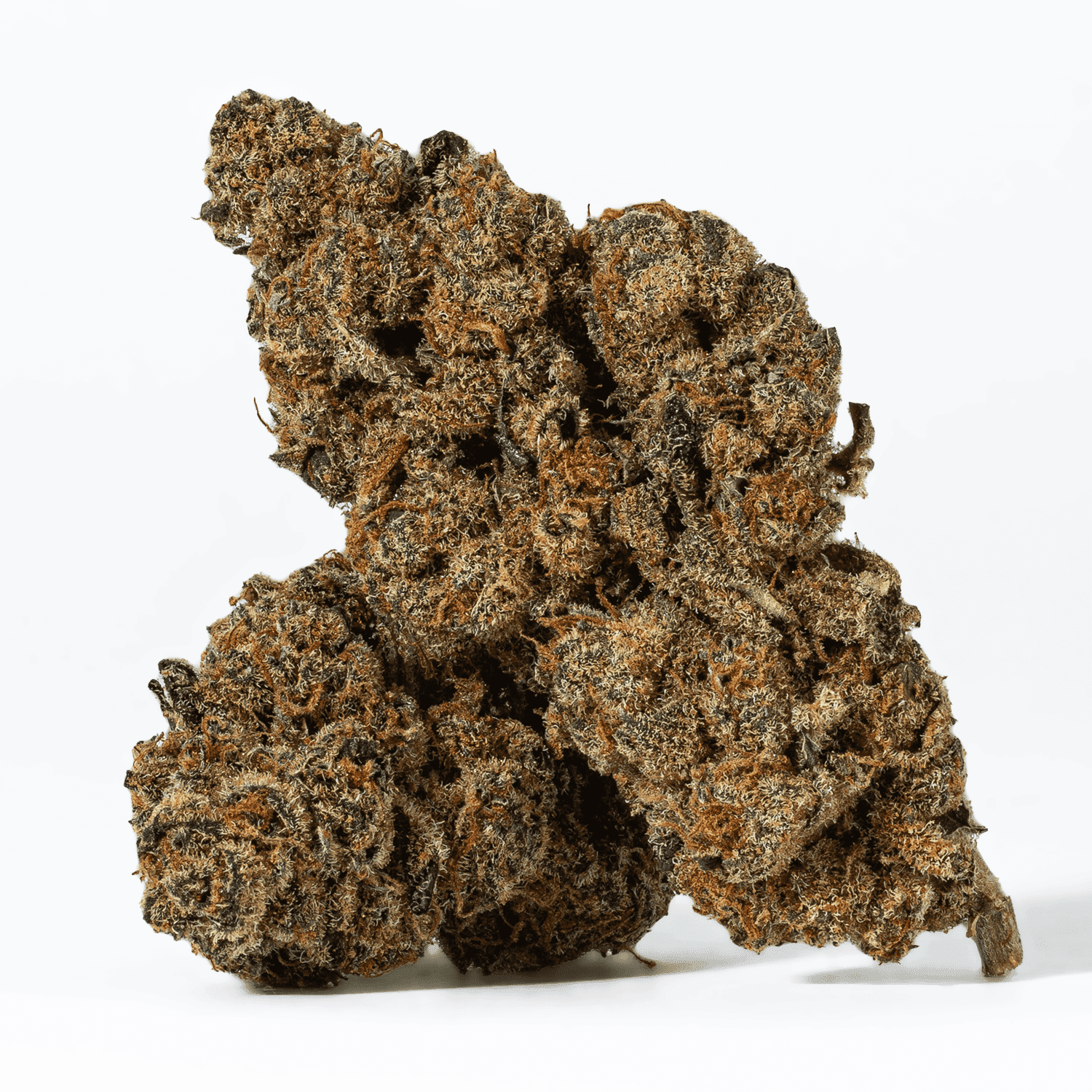 Blue Java is an indica dominant hybrid strain (85% indica/15% sativa) created through crossing the powerful Garlicane X Jelly Breath strains