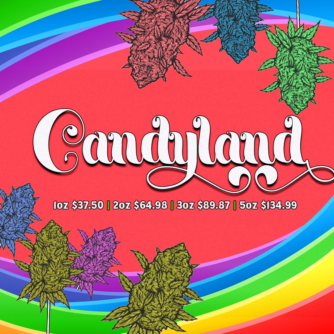 Candyland is a sativa-leaning hybrid made from the iconic Granddaddy Purple and Platinum Cookies. This strain is well-loved for its energizing and euphoric effects