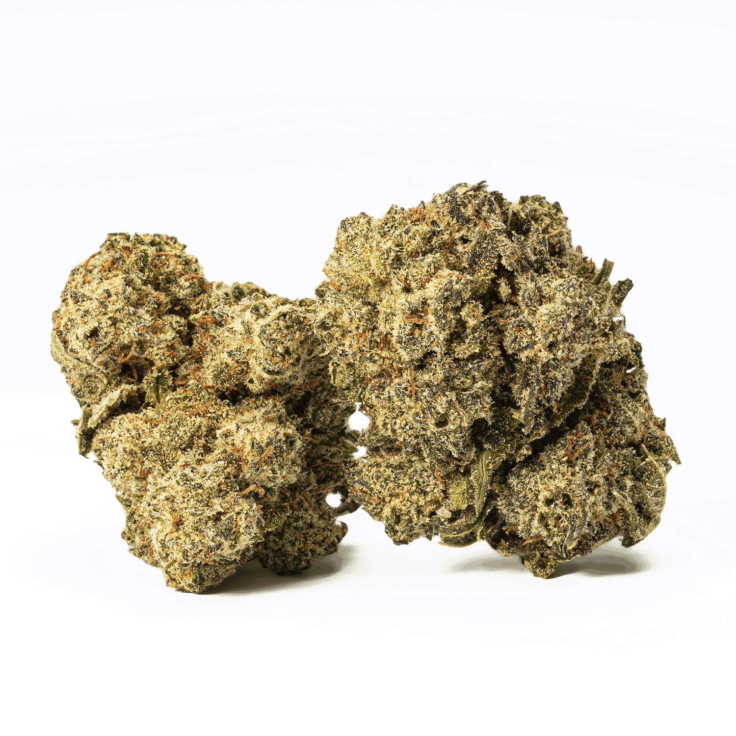 Cat Piss is a 60/40 sativa-dominant strain known for its uplifting