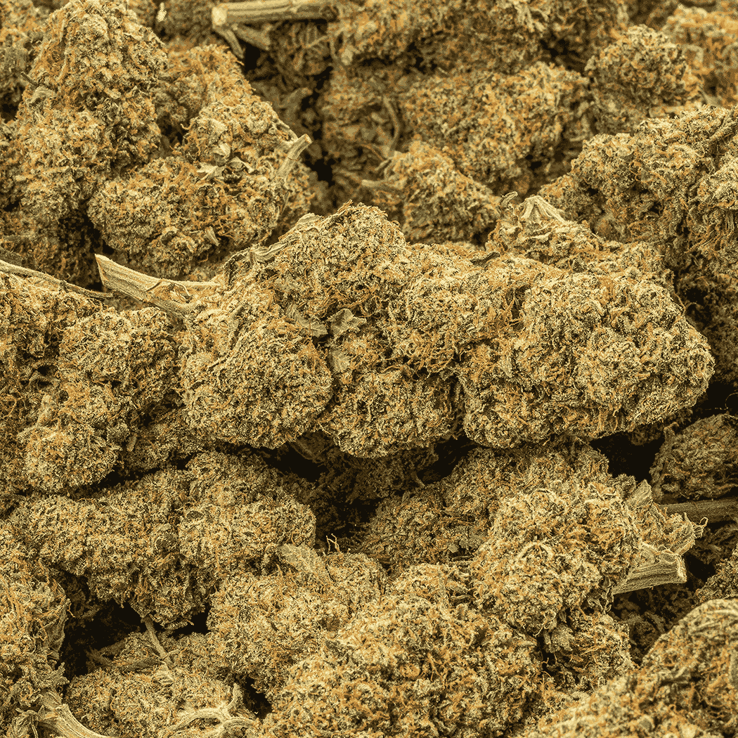 Cherry Pie (AA+) - Image 4