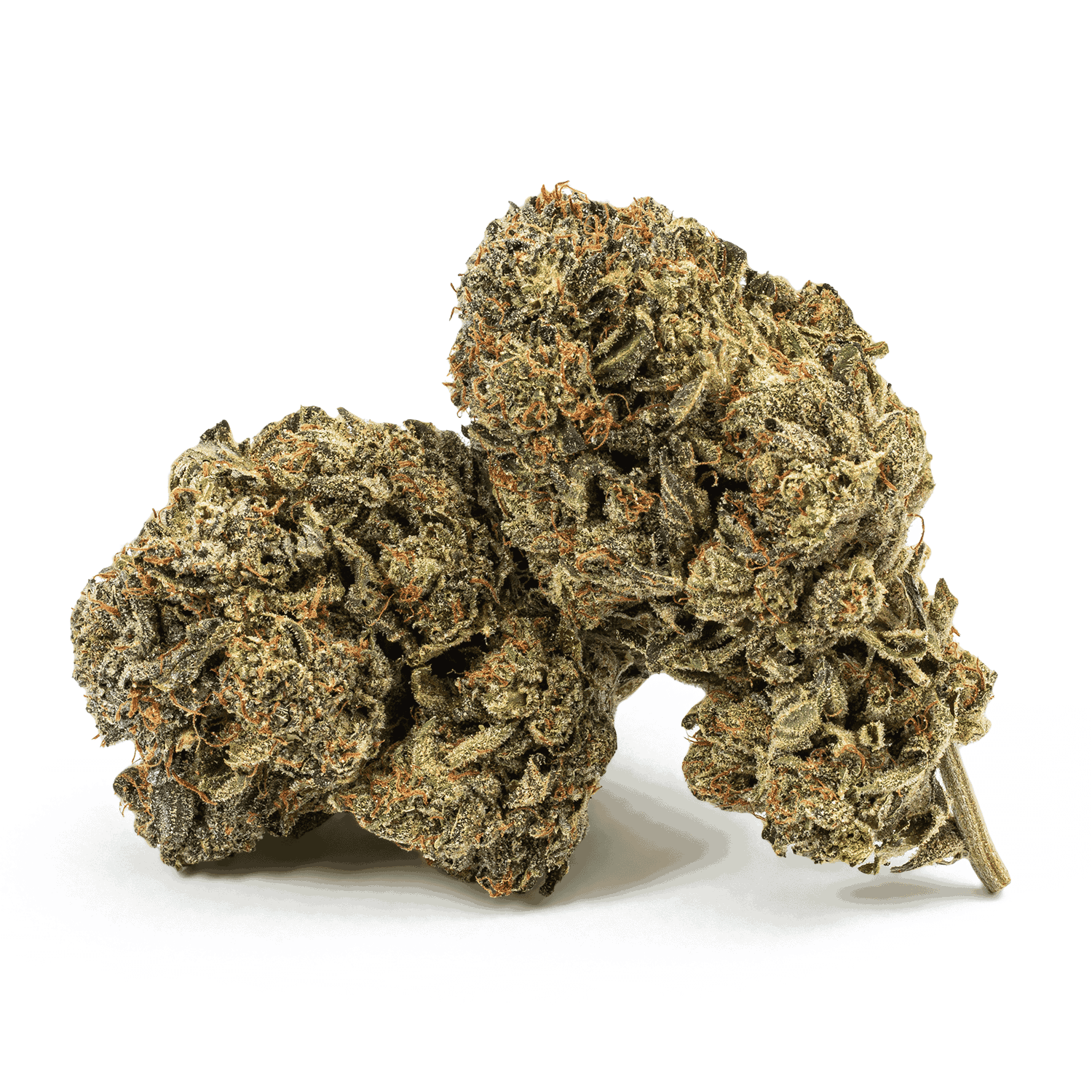 Dank Schrader is a potent indica-dominant hybrid (80/20) bred from Rockstar Kush and Bubba Kush