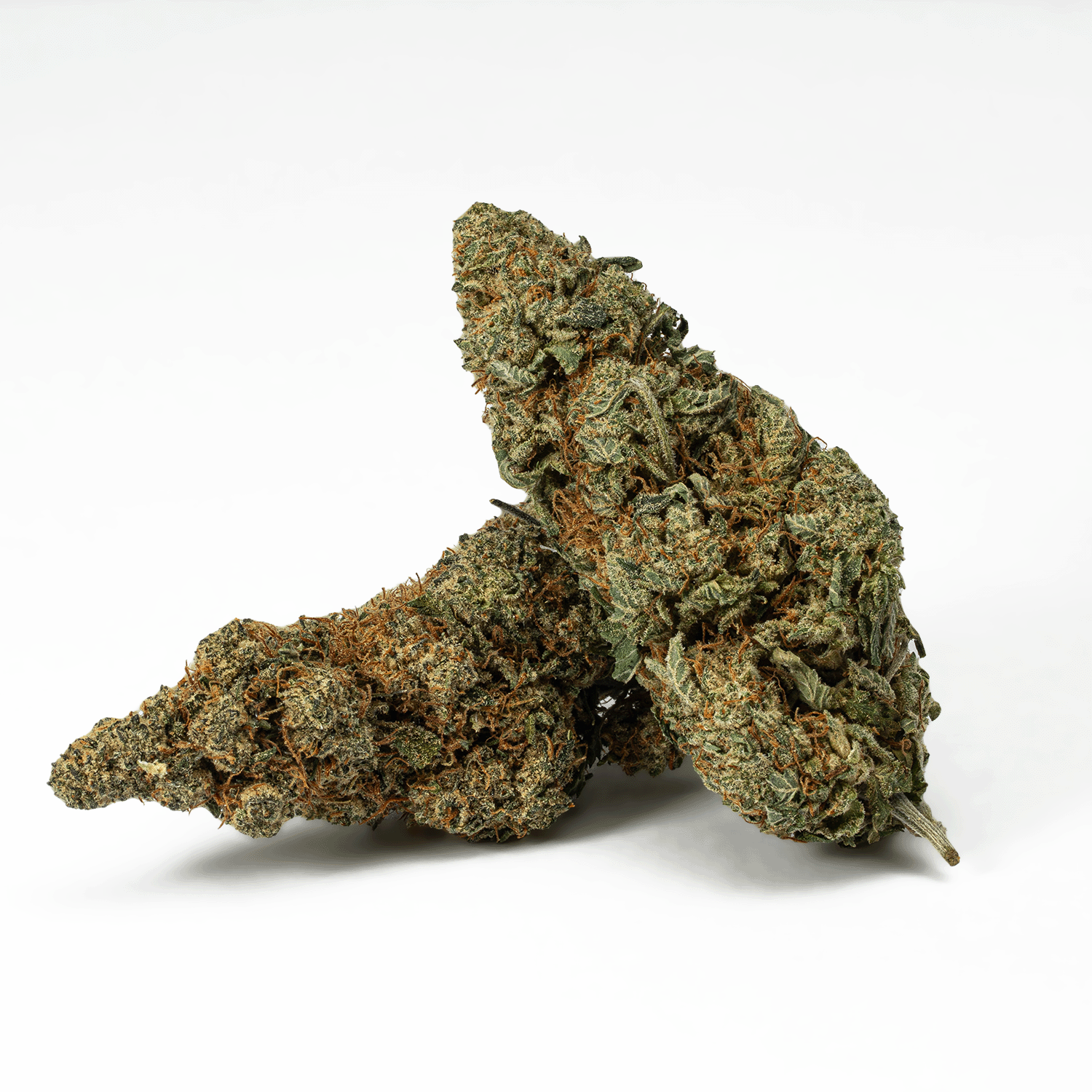 Frosty is a 65/35 indica-dominant hybrid with a calming
