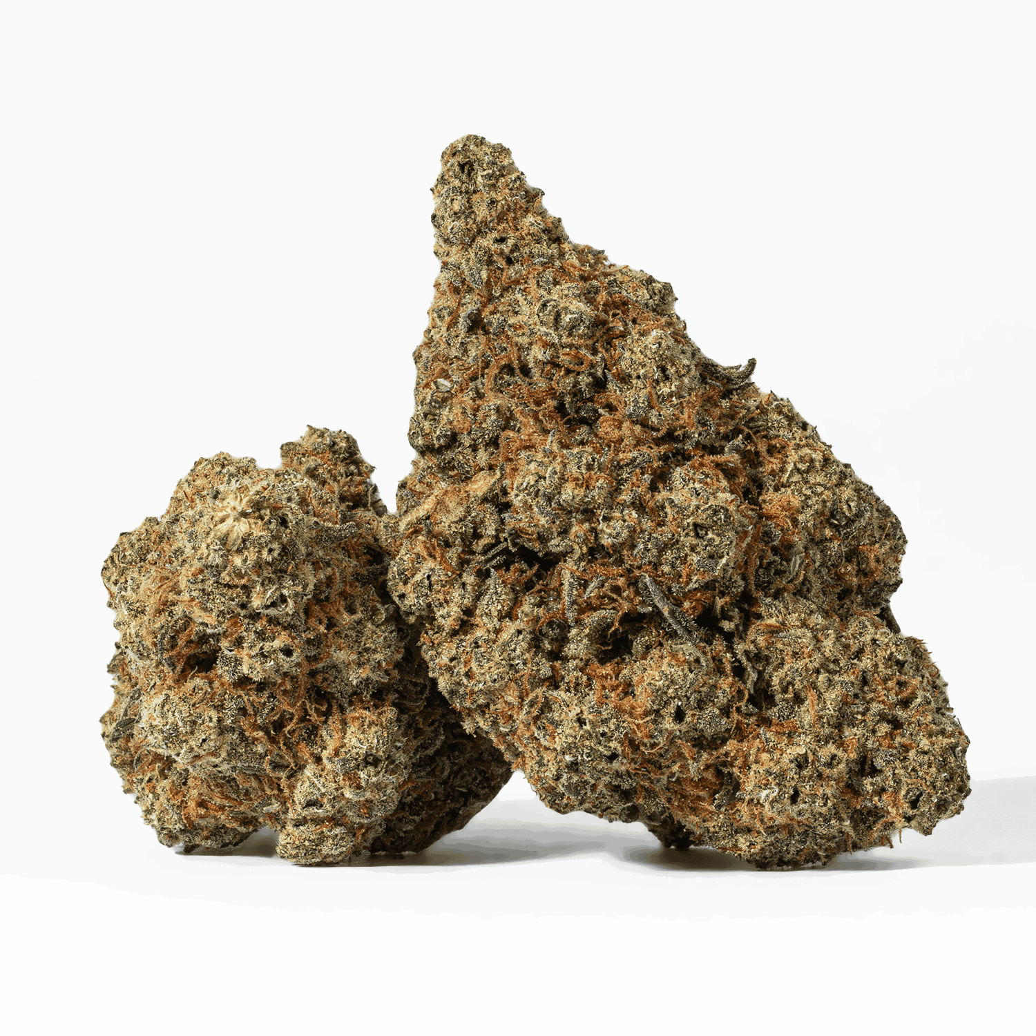 Grape God is a cross between God Bud