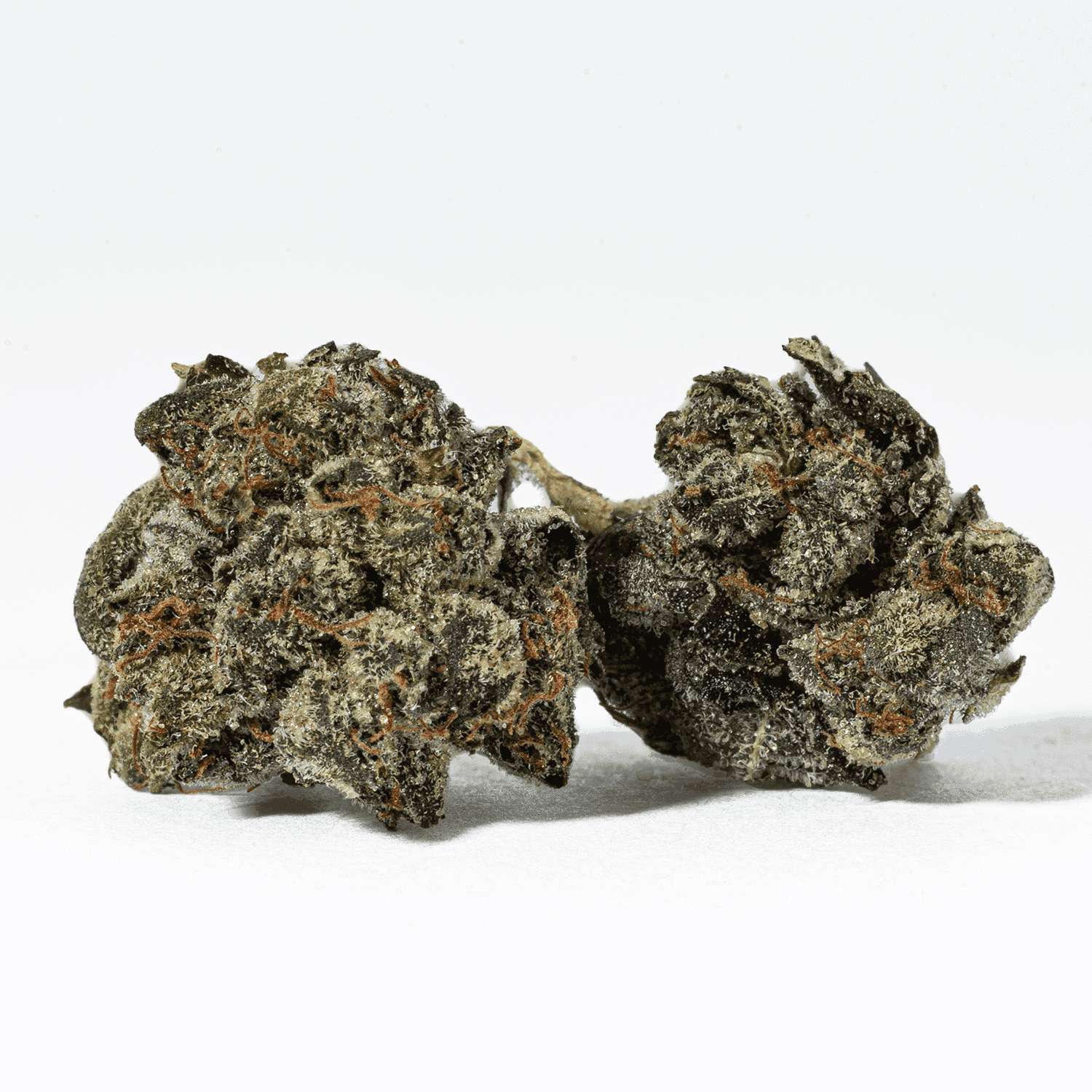Greasy Pink Bubba