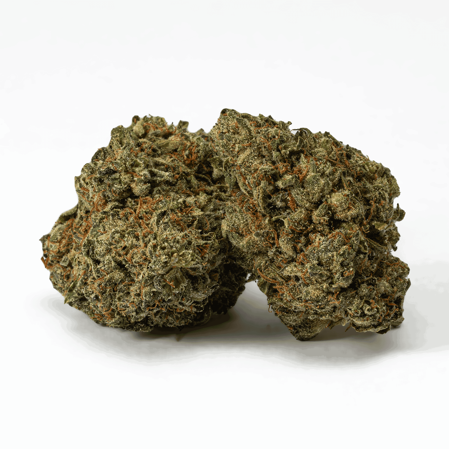 Ice Cream is a 60/40 indica-dominant strain known for its smooth