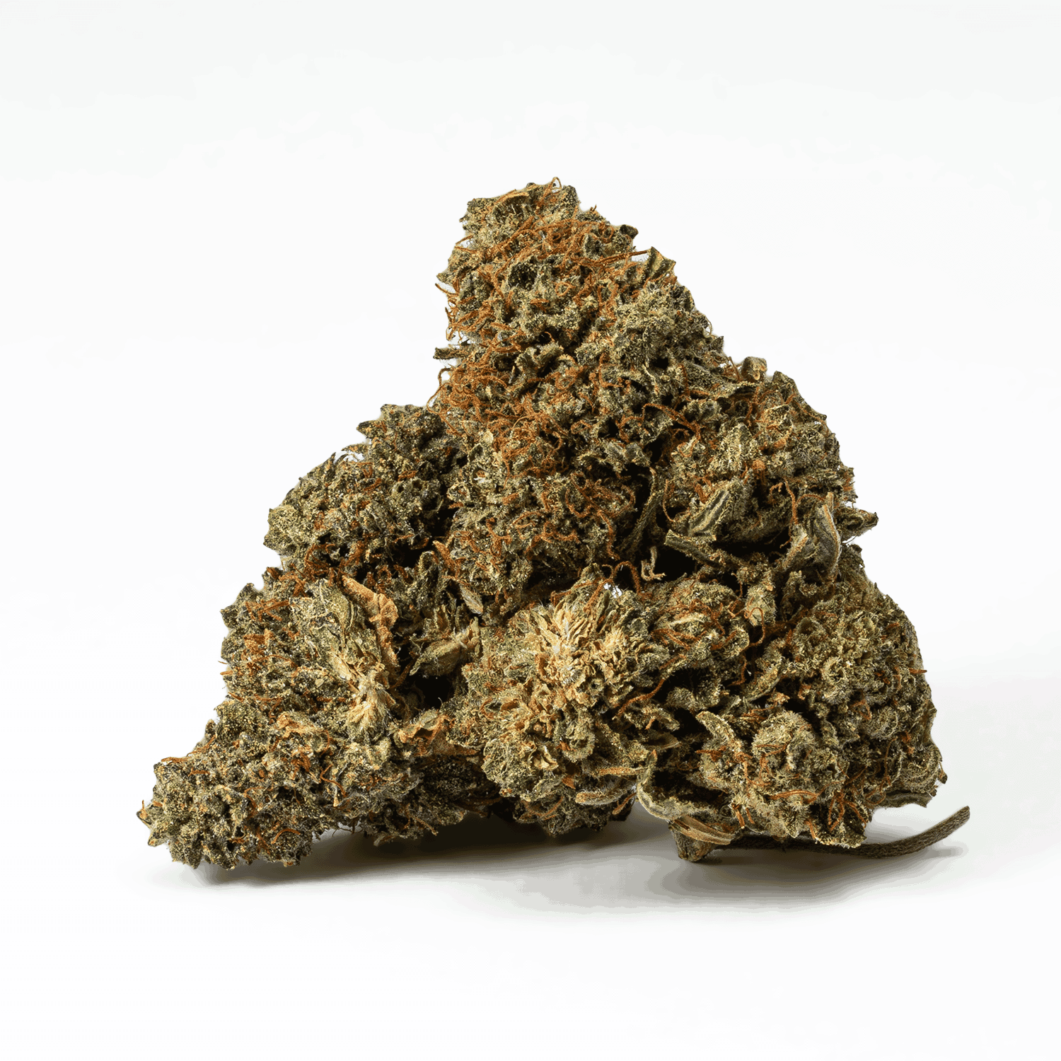 Jack Herer