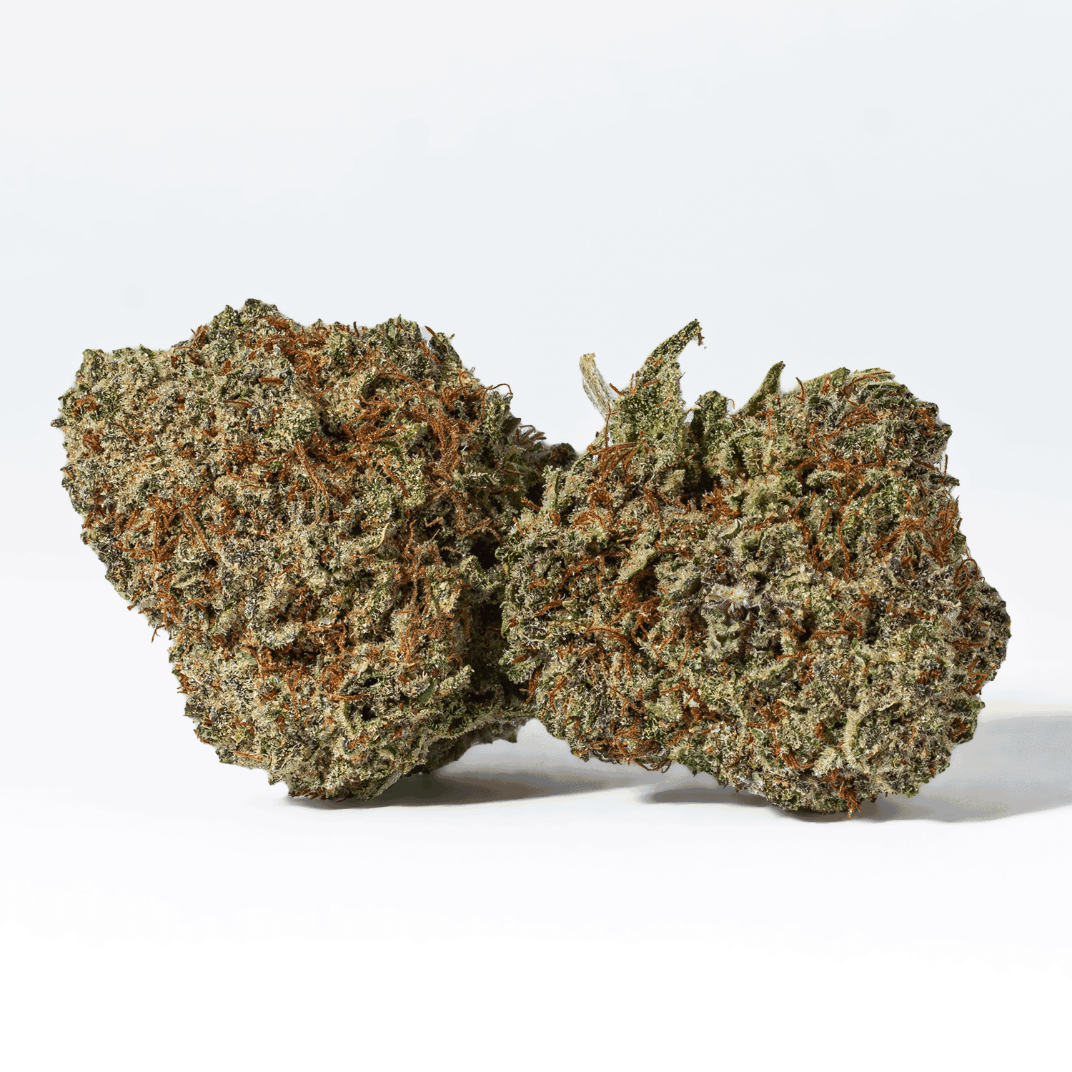 Being an indica dominant strain