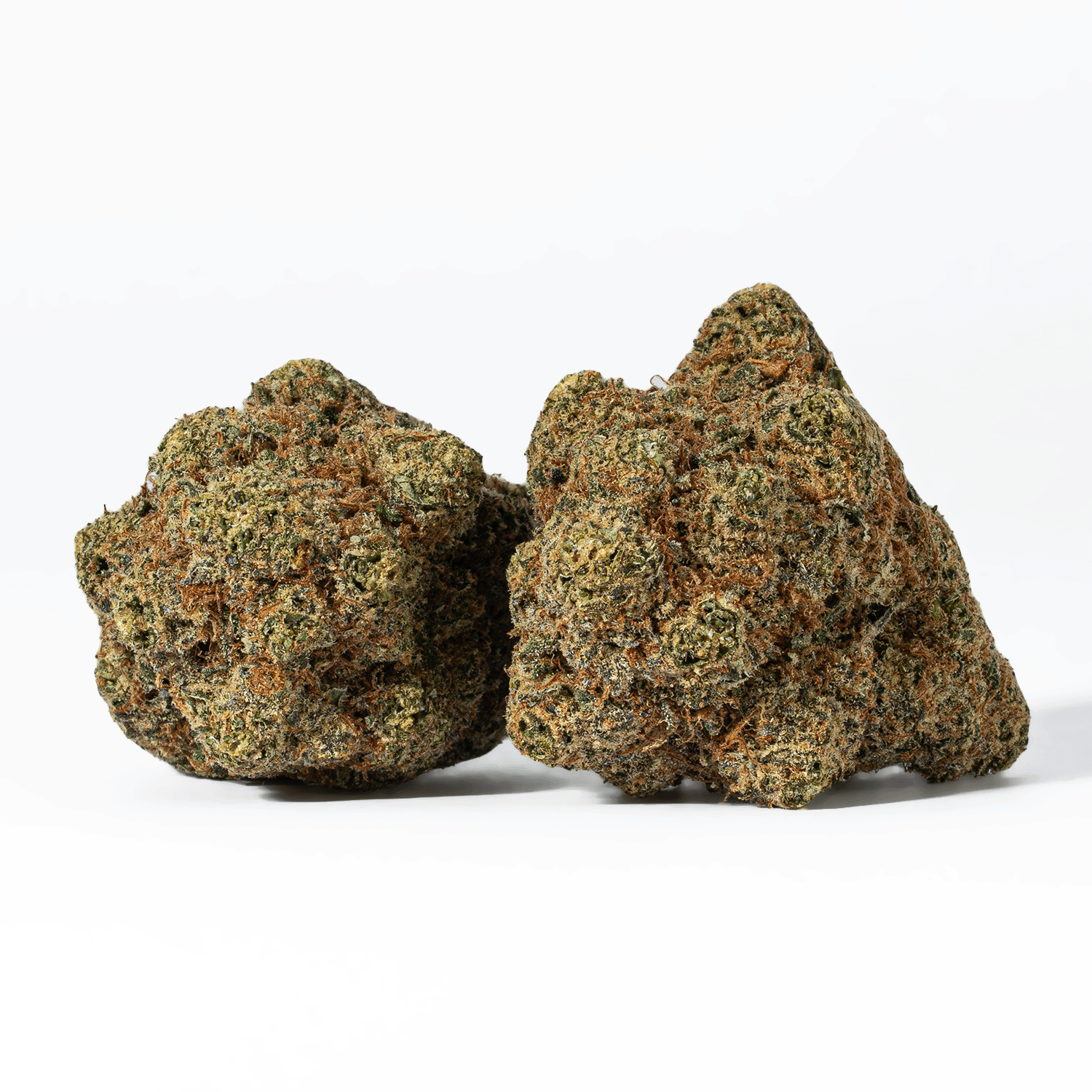 Monster Berry is an evenly balanced hybrid strain (50% indica/50% sativa) created through crossing the classic Grand Daddy Purple X Girl Scout Cookies strains