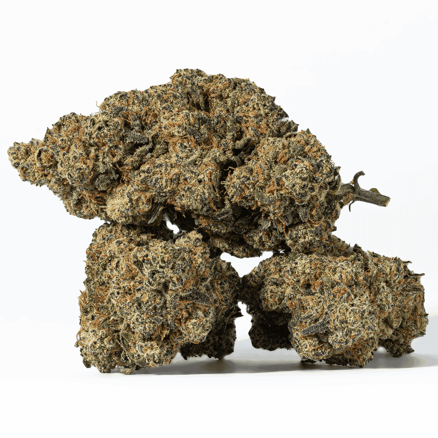 Nuken is an indica dominant hybrid (80% indica/20% sativa) strain created as cross between the cult favorite God Bud X Kish strains.