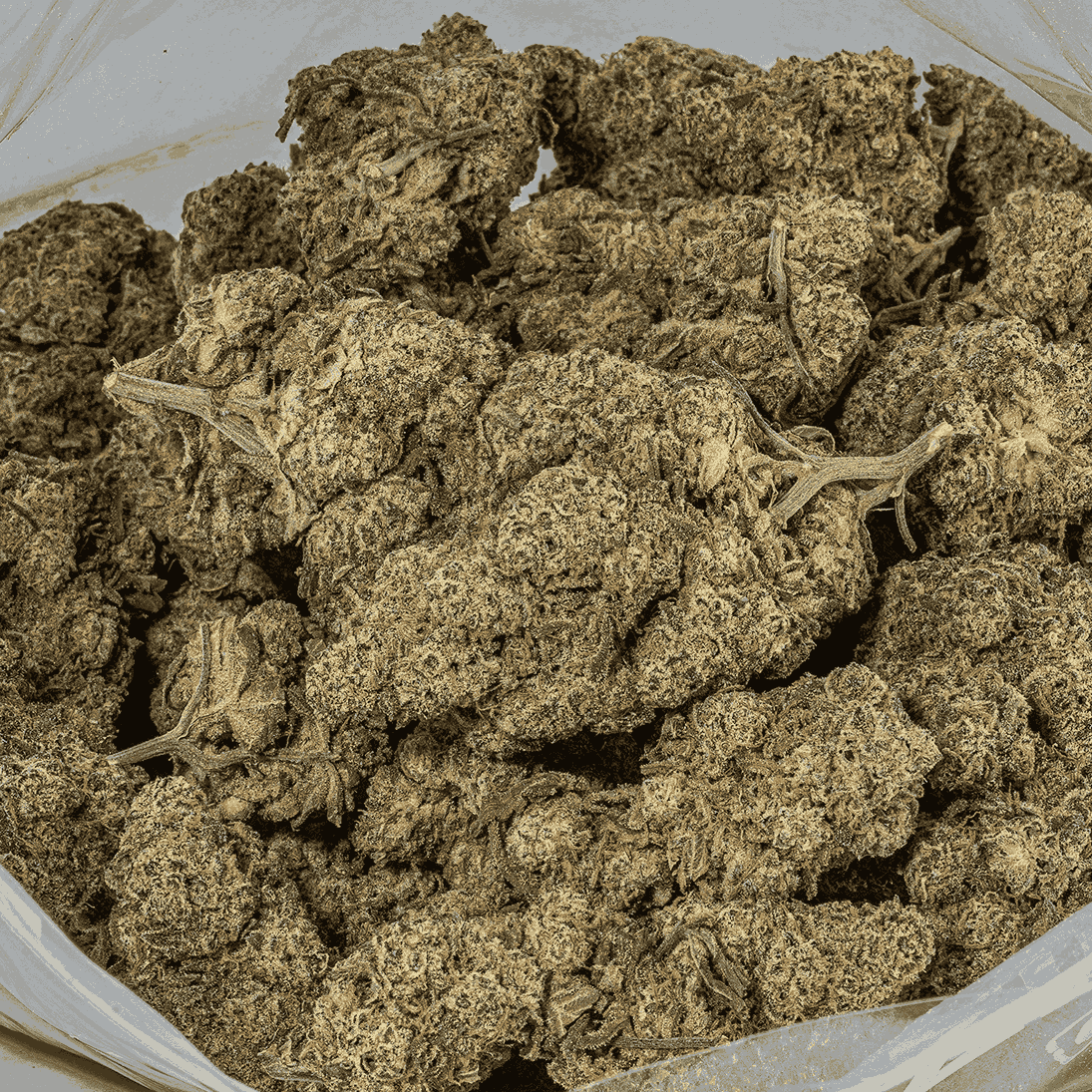 Nuken is an indica dominant hybrid (80% indica/20% sativa) strain created as cross between the cult favorite God Bud X Kish strains.