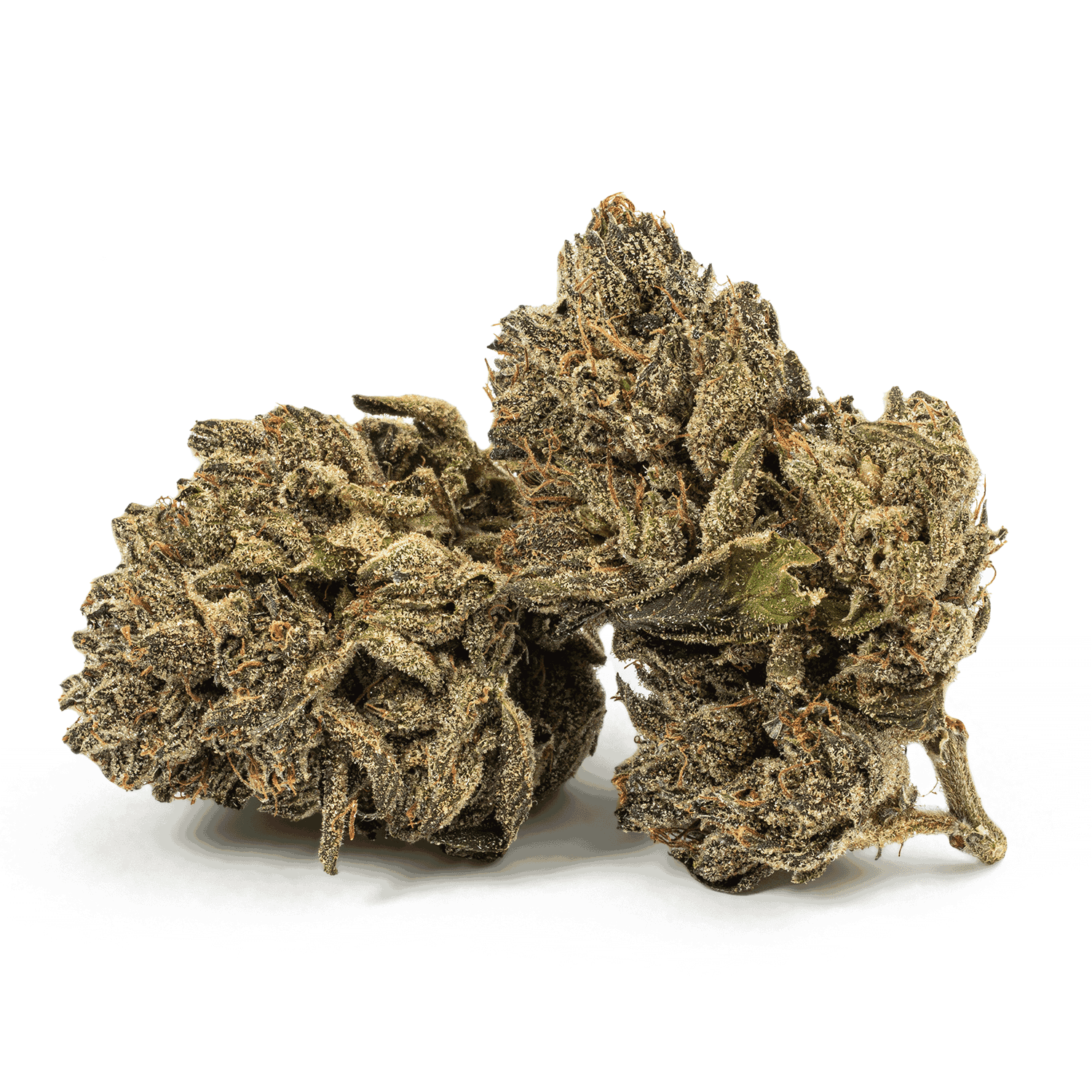 Purple Picasso is a flavorful indica-dominant hybrid (60/40) crafted from Godfather Purple and OZK