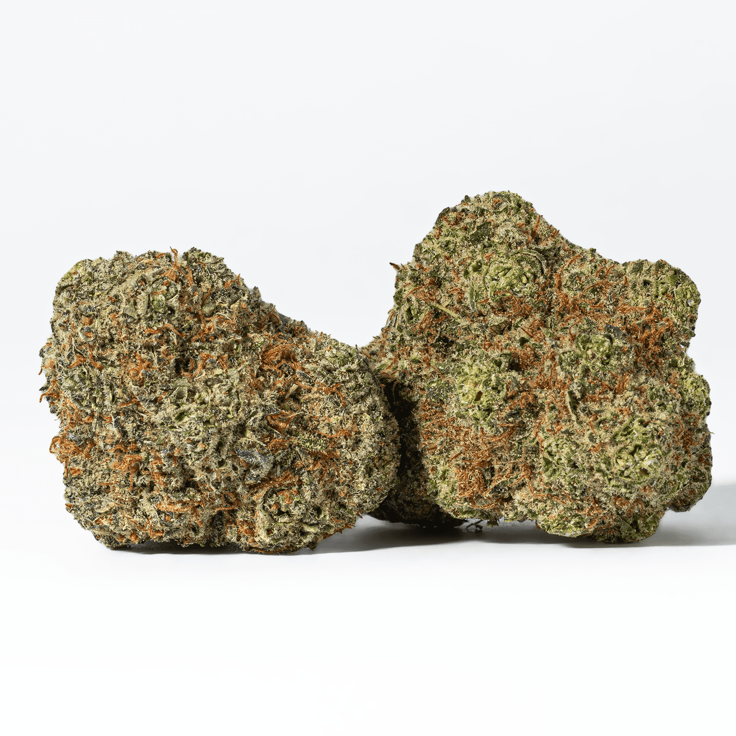 Raspberry Parfait is a sativa dominant hybrid strain (80% sativa/20% indica) created through crossing the delicious Shishkaberry X Truffula Tree strains