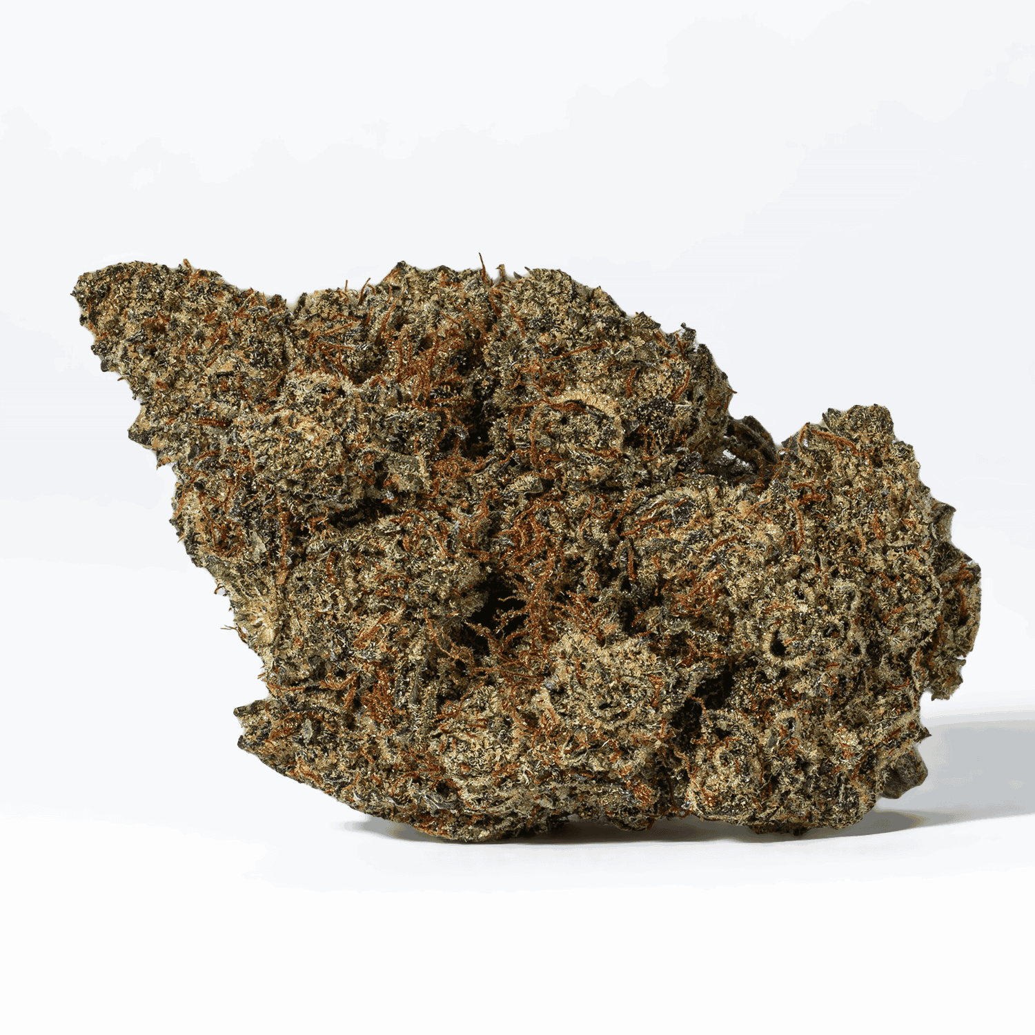 Strawberry Slurpee is a slightly indica dominant hybrid strain (60% indica/40% sativa) created through crossing the delicious XJ13 X StrawNana strains