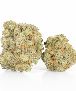 Blackberry x Blueberry (AA+)