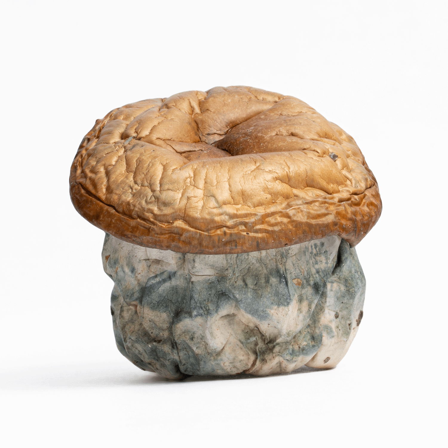 Dino Eggs Mushrooms - Image 3