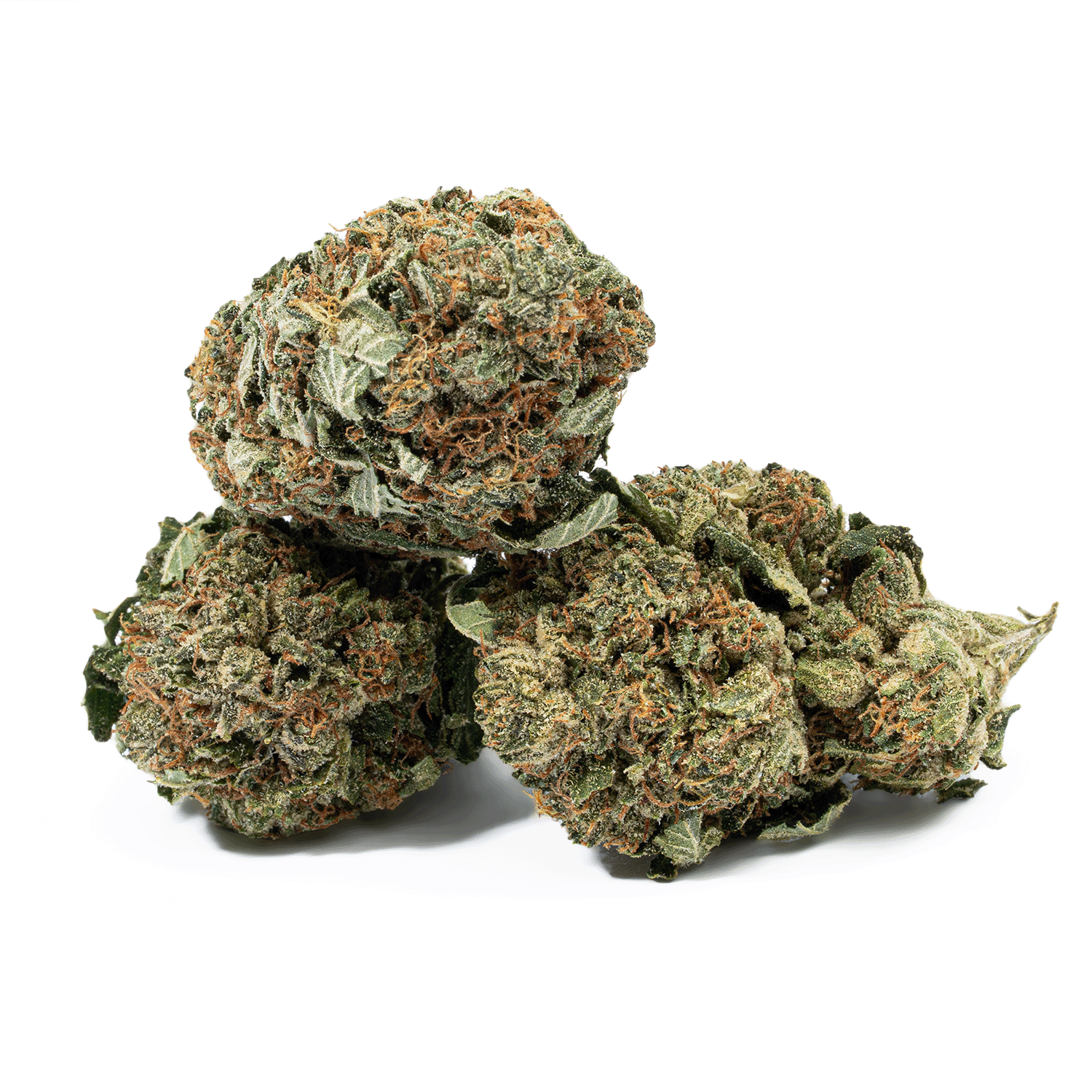 Glue Dream (AA) - Image 5