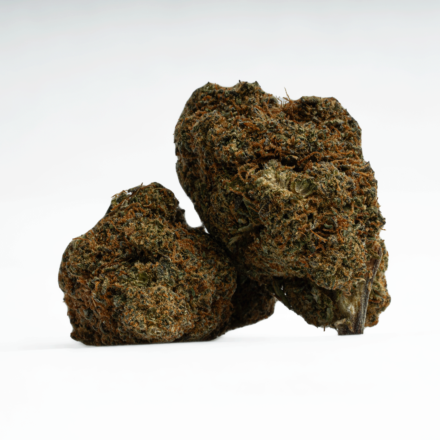 God's Gift (AA+) - Image 4