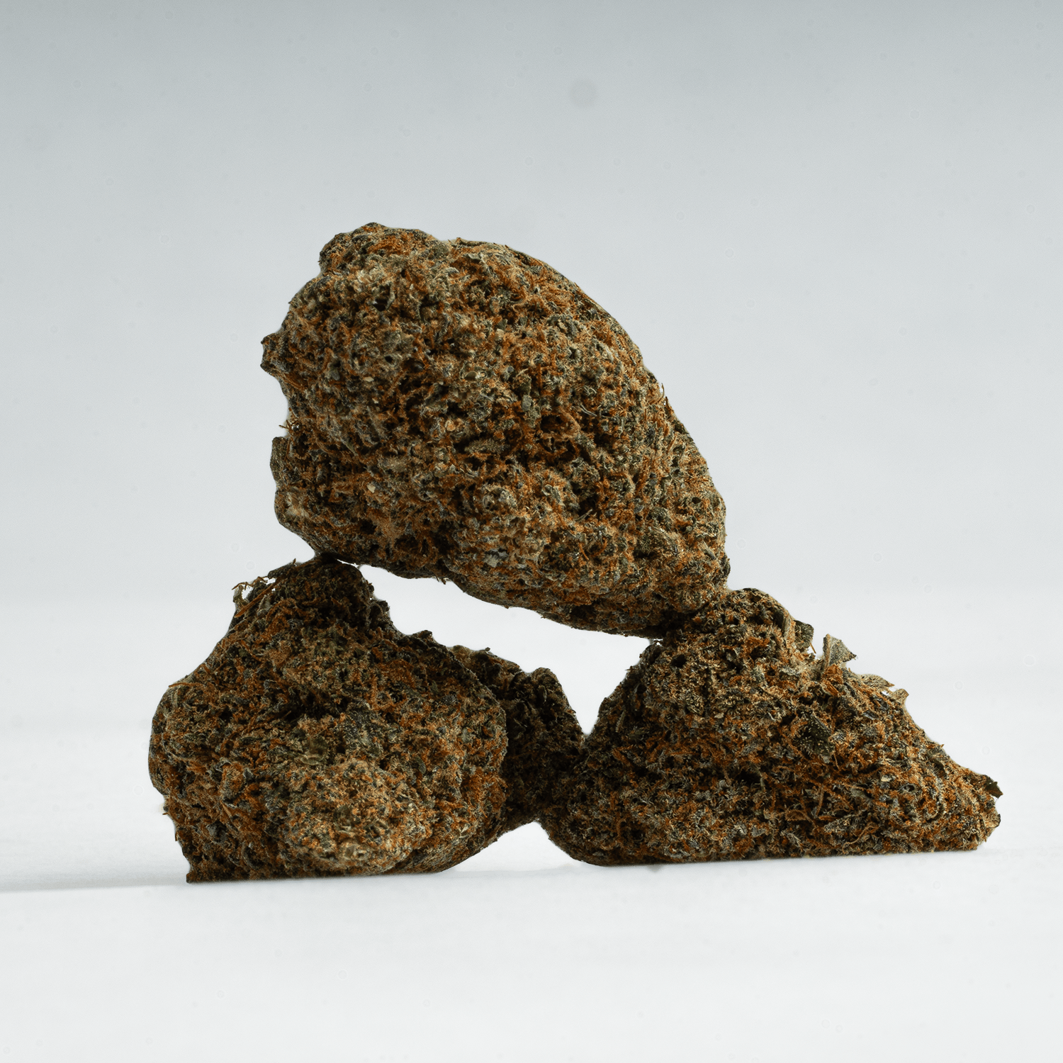 God's Gift (AA+) - Image 2