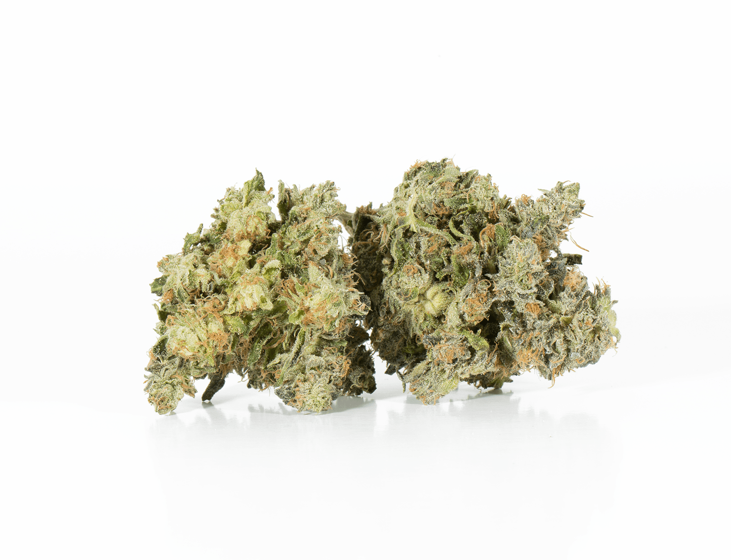 Northern Lights (AAA) - Image 4