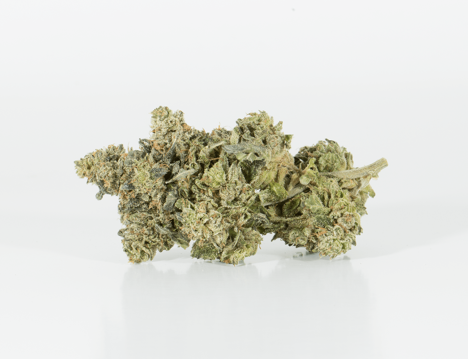 Northern Lights (AAA)