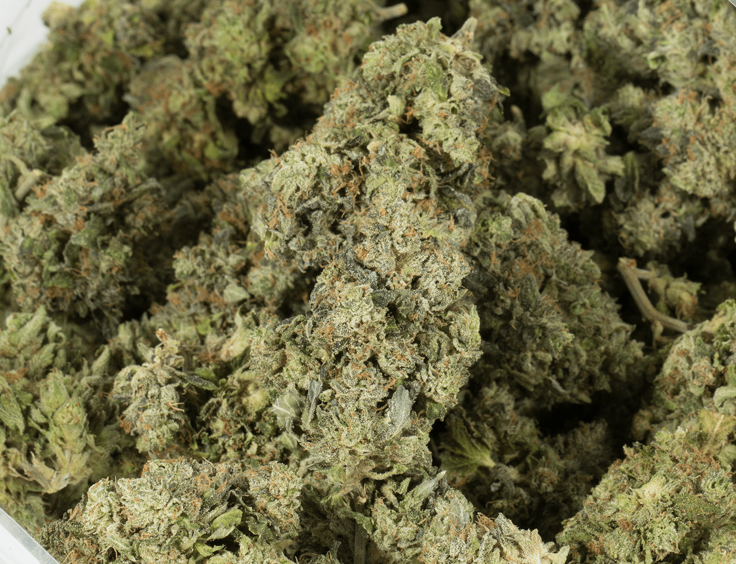 Northern Lights (AAA) - Image 5