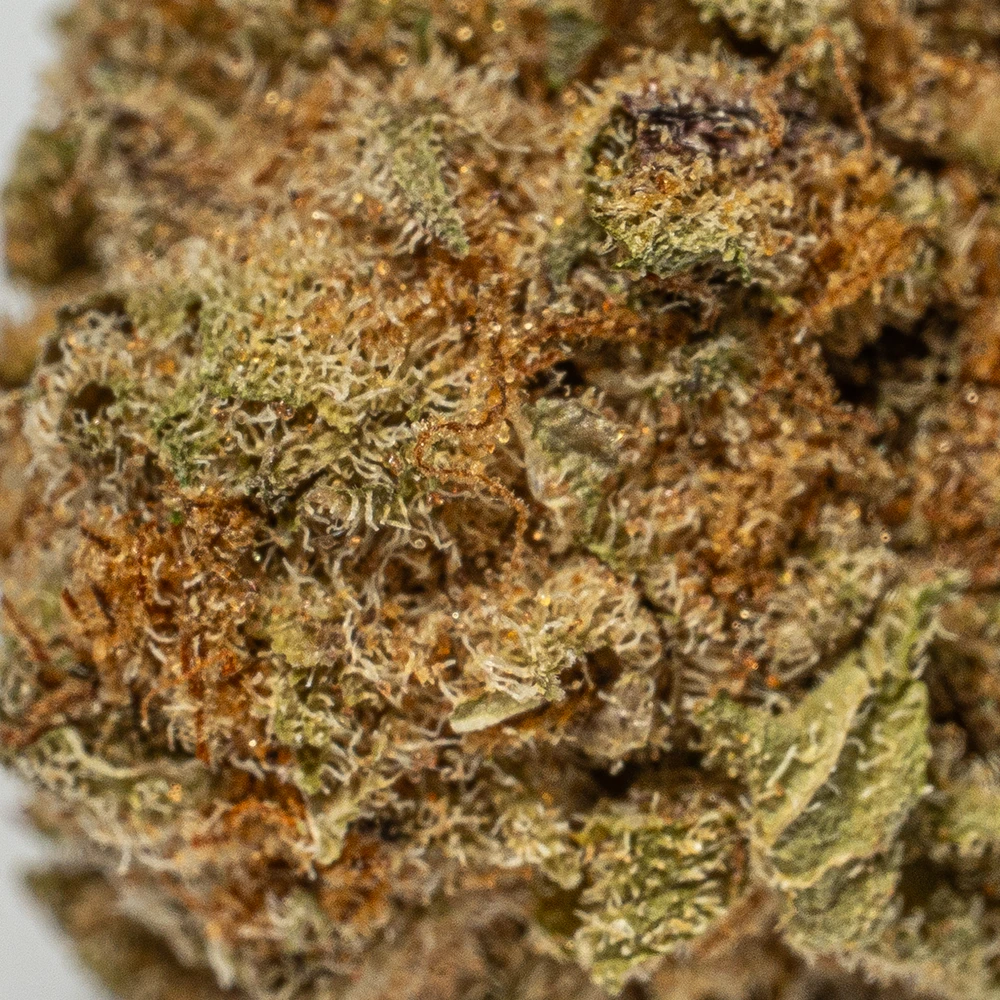 Cali OG (AA) - Image 4