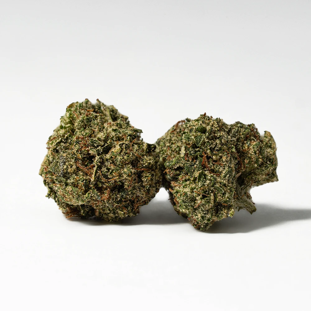 (Smalls) Gelato (AAA+)