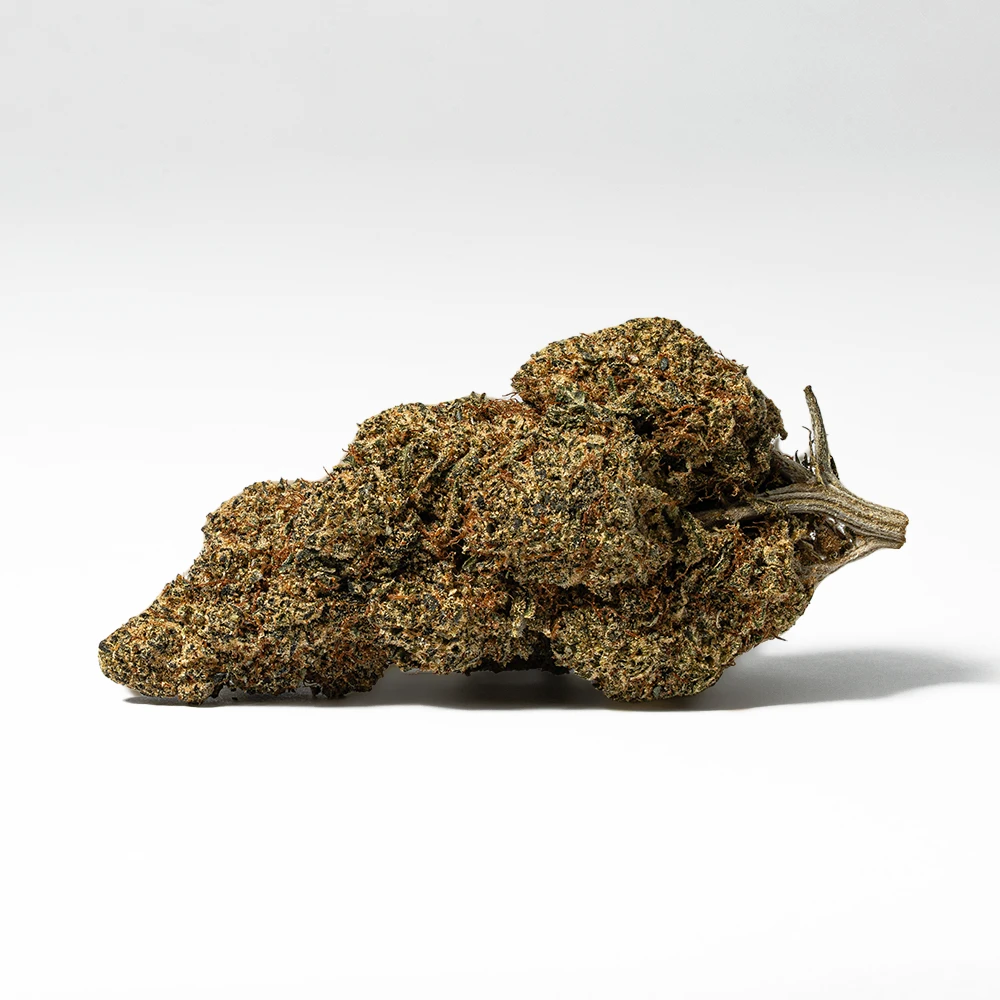 Ghost Dawg (AA+) - Image 2