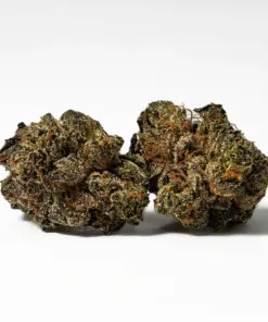 (Smalls) Grizzly Pink (AAAA)