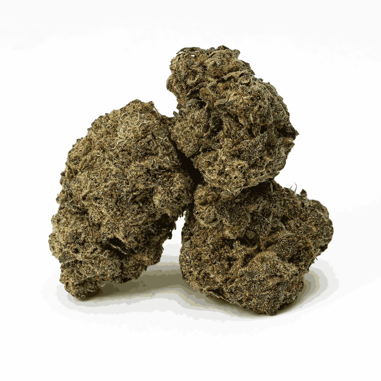 Banana Cream (AA+) - Image 2