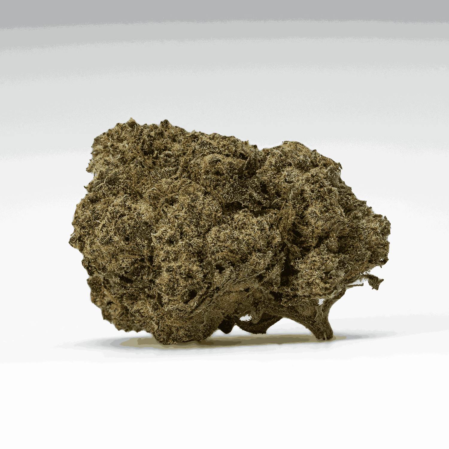 Banana Cream (AA+) - Image 3